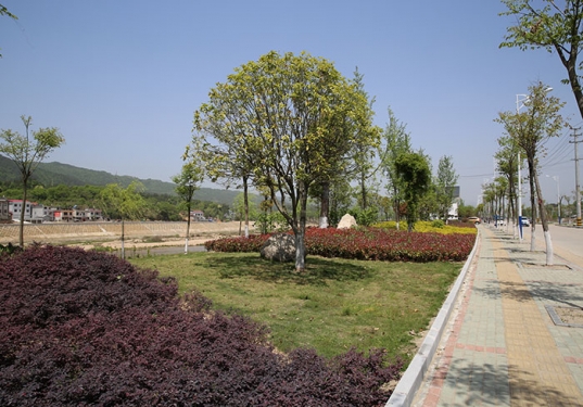 義水南路延伸線(xiàn)綠化工程